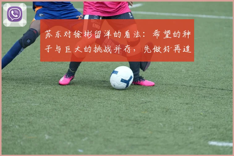 苏东对徐彬留洋的看法：希望的种子与巨大的挑战并存，先做好再追求完美