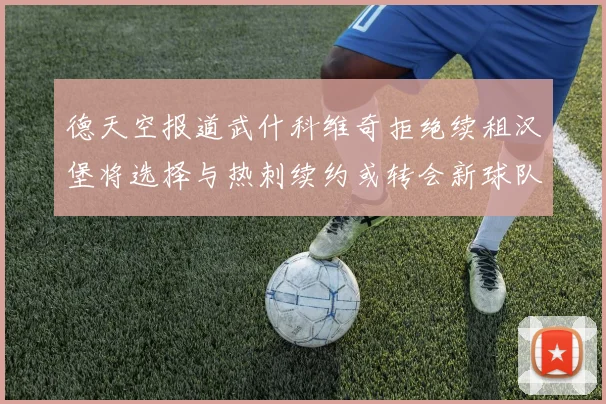 德天空报道武什科维奇拒绝续租汉堡将选择与热刺续约或转会新球队